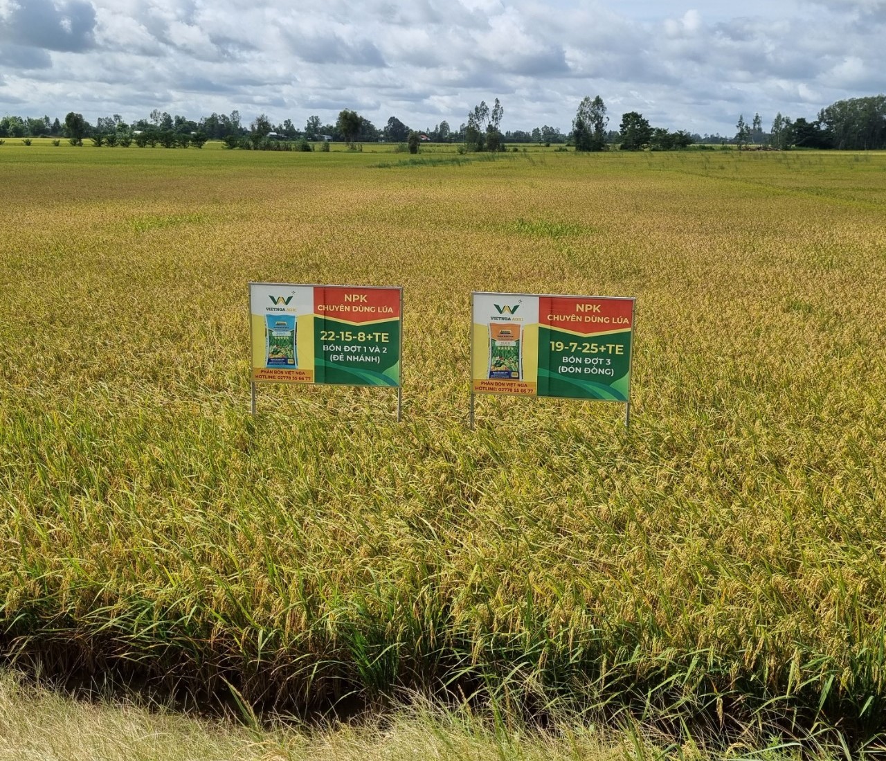 Không Ngừng Cải Tiến Sản Phẩm vietnga.vn phan chuyen dung cho lua 4