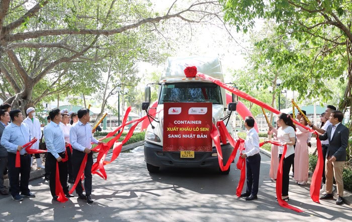 Xuất khẩu sen sang thị trường Nhật Bản