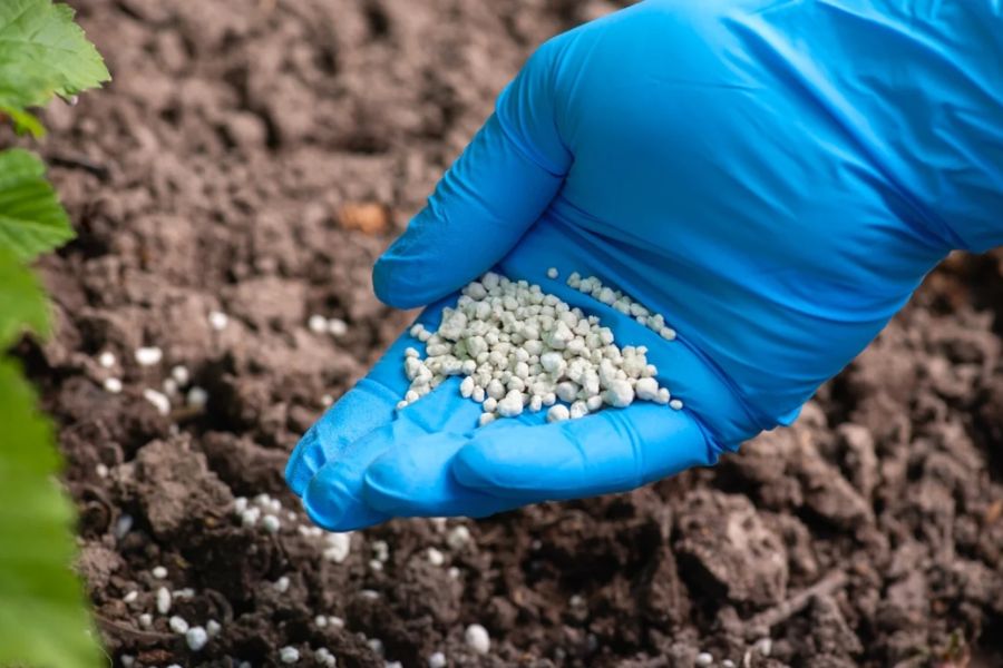 Answer: How many liters of water are needed to mix 1kg of NPK fertilizer? What is the correct ratio of 1kg of NPK fertilizer to 1 liter of water?