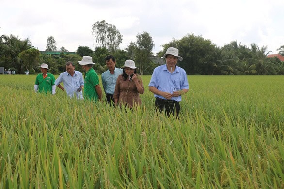 លំនាំ ៣ ចុះក្រោម ៣ ឡើងលើ