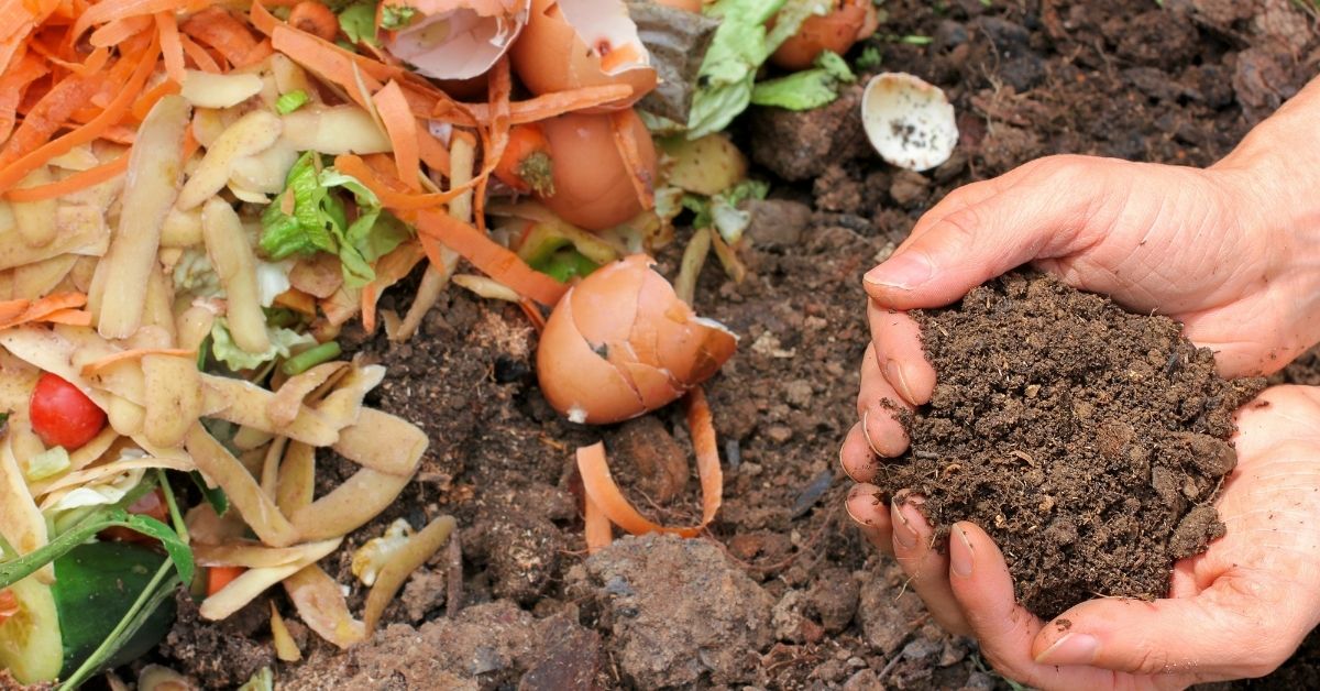 Bảo quản phân hữu cơ đúng cách