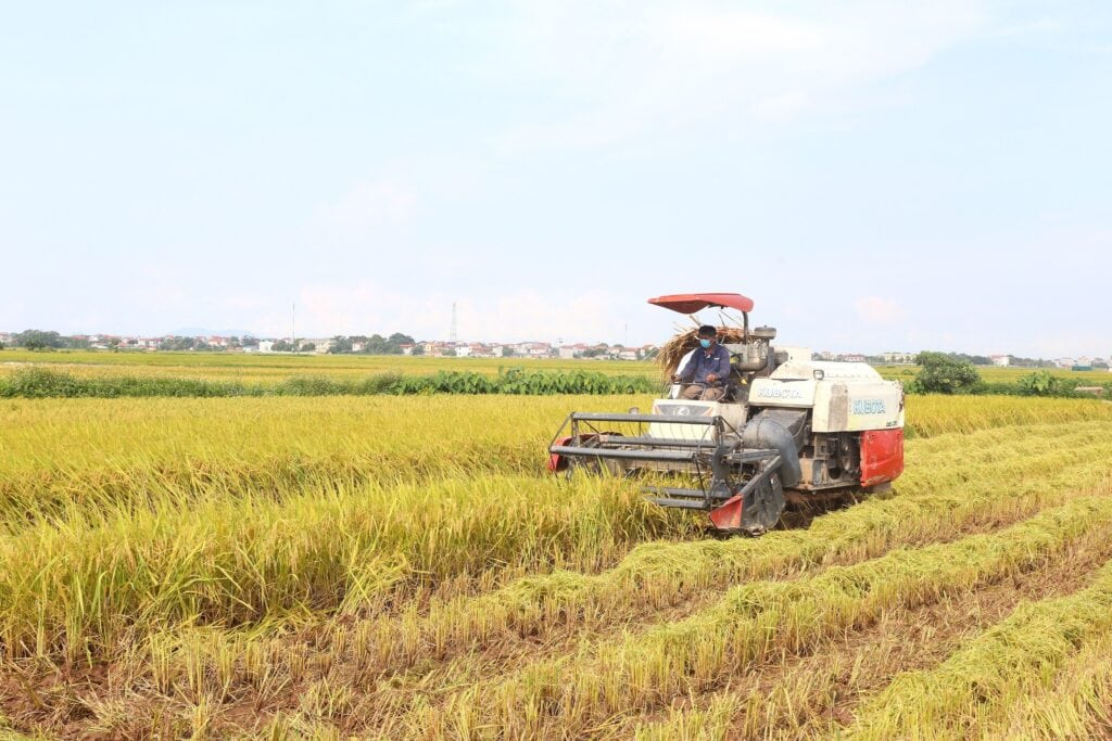 Đồng Tháp Tăng Năng Suất Vụ Lúa Hè Thu Hơn 3 Tạ/Ha Nhờ Áp Dụng Tiến Bộ Kỹ Thuật Đồng Tháp tăng năng suất lúa vụ hè thu nhờ áp dụng kỹ thuật tiên tiến