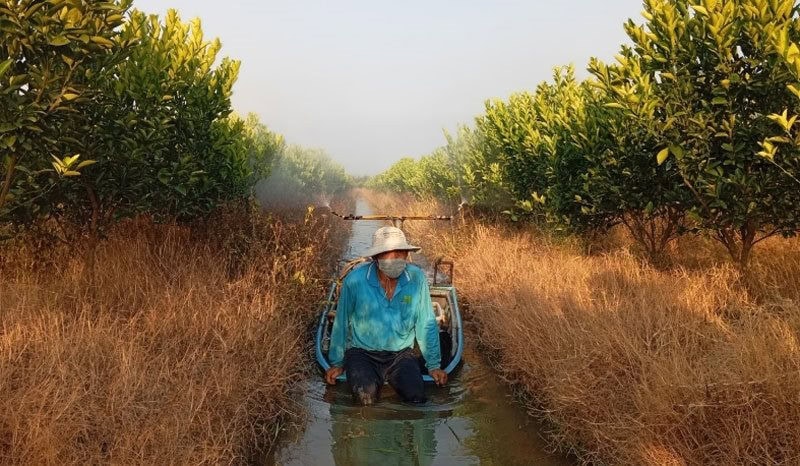 គ្រោះរាំងស្ងួតលើដំណាំ