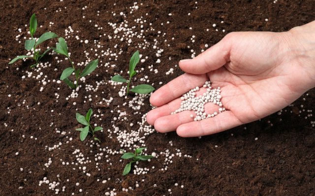 Phân Bón NPK Là Gì? Công Dụng Và Cách Sử Dụng Ra Sao? Phân NPK có nhiều công dụng cho cây trồng