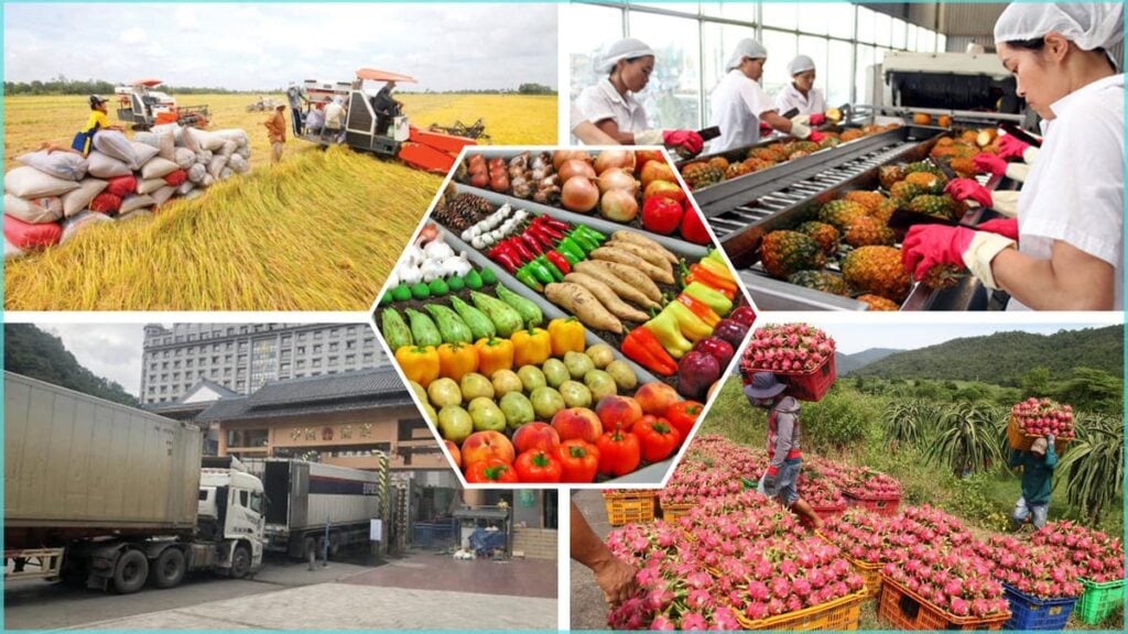 6 Tháng, Nông Lâm, Thủy Sản Xuất Siêu 8,28 Tỷ USD Xuất khẩu nông sản Việt Nam có nhiều cơ hội tăng trưởng