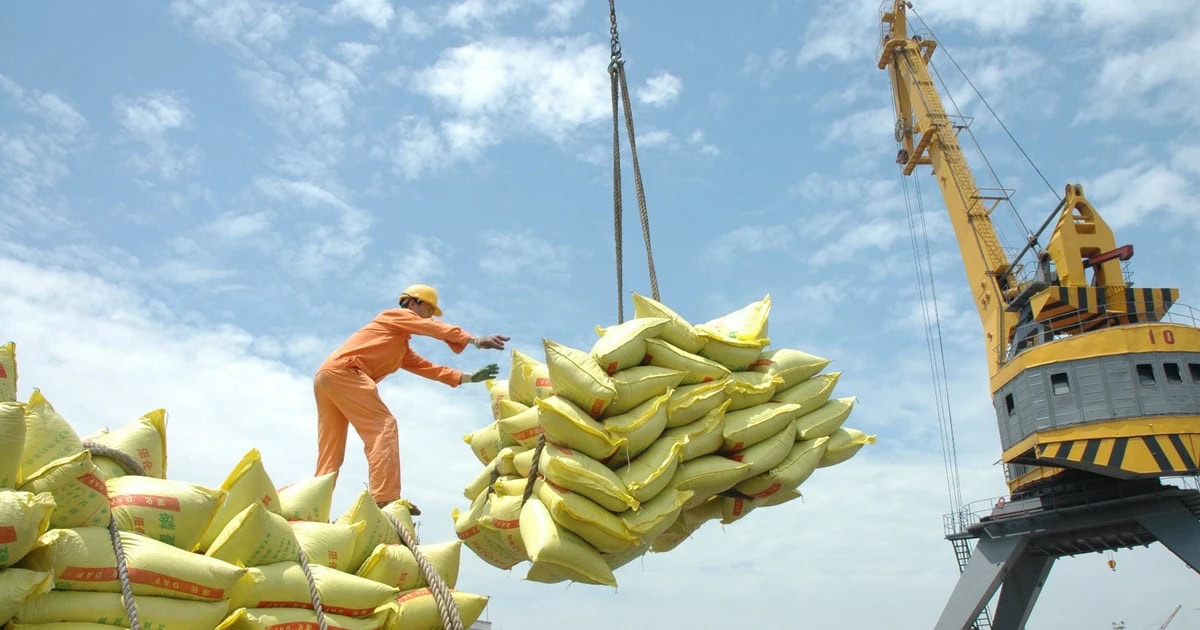 Gạo xuất khẩu chạm mốc 1000 USD
