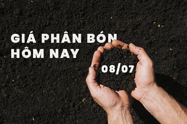 Giá phân bón ngày 8/7