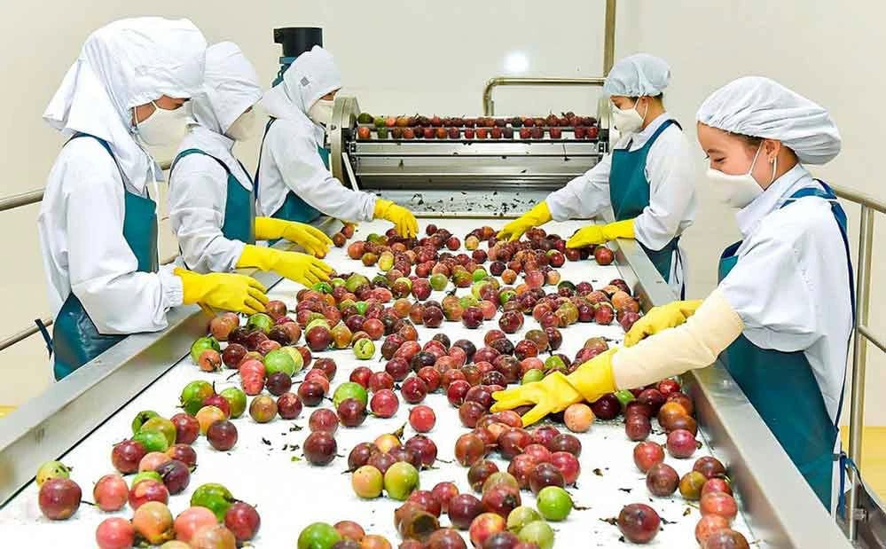 Rộng mở con đường phát triển cho ngành chanh leo khi được chính thức xuất khẩu sang Mỹ