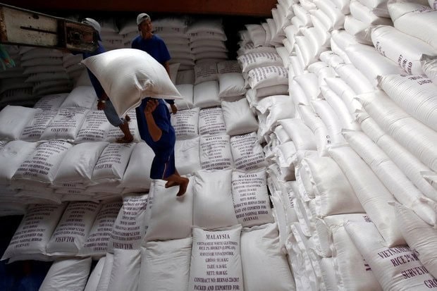 Dự báo về thị trường gạo tại Phililppines