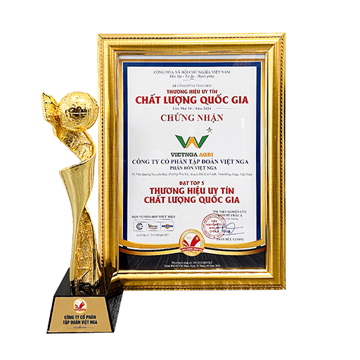 Top 5 Thương Hiệu Uy Tín – Chất Lượng Quốc Gia 2024