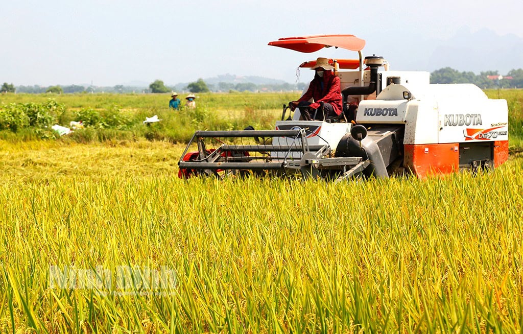 ចំណាំខ្លះពេលចាក់ពូជរដូវស្លឹកឈើឆ្នាំ 2024 "ការប្រមូលផលរដូវក្តៅចូលទៅដំណាក់កាលចុងក្រោយ<br