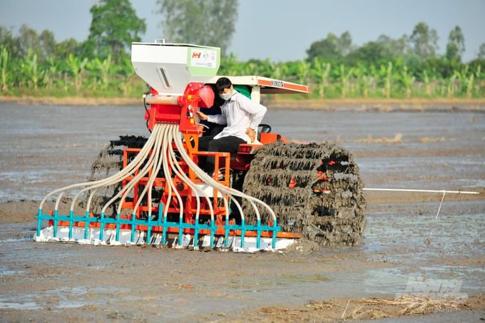 ចំណាំខ្លះពេលចាក់ពូជរដូវស្លឹកឈើឆ្នាំ 2024 "អនុវត្តវិធីសាស្រ្តចាក់ពូជជួរ