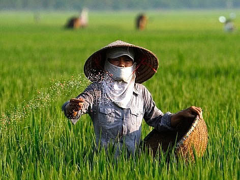 Nếu áp thuế VAT 5% đối với phân bón thì nông nghiệp và nông dân được hưởng lợi so với quy định hiện hành là không chịu thuế