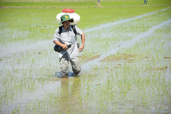 Agricultural mechanization helps improve production efficiency. Fertilizer sprayer