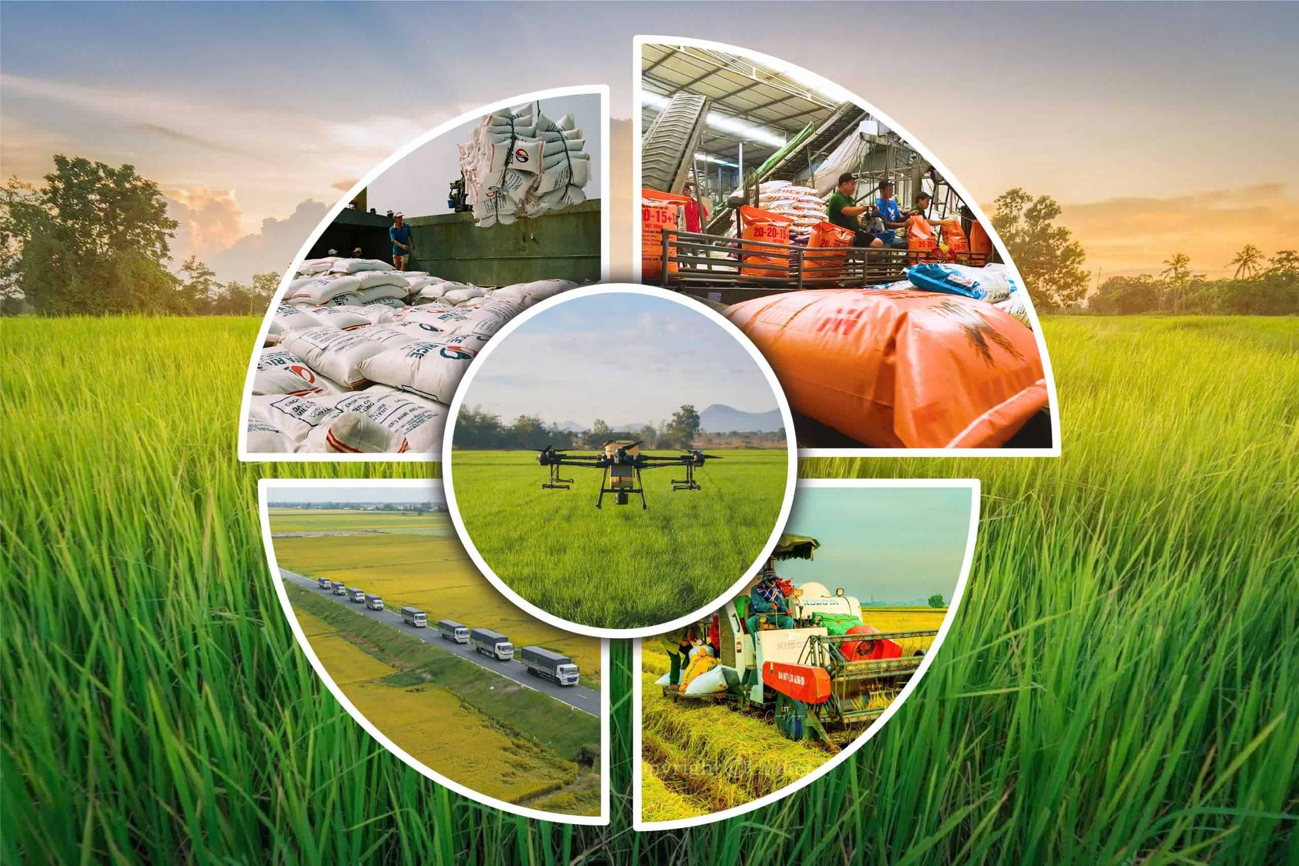 Áp dụng cơ giới hóa trong nông nghiệp giúp tiết kiệm chi phí, tăng hiệu quả kinh tế