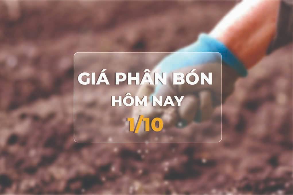 giá phân bón