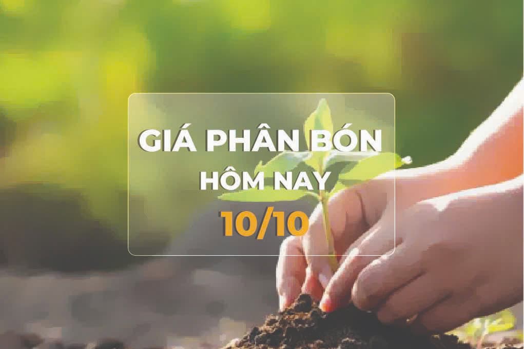 Giá phân bón