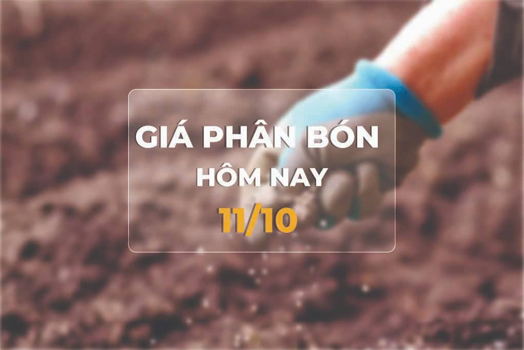 Giá phân bón