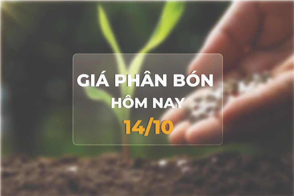 Giá phân bón