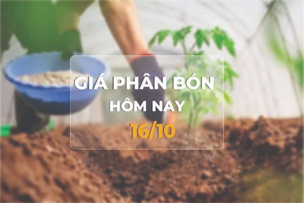 giá phân bón