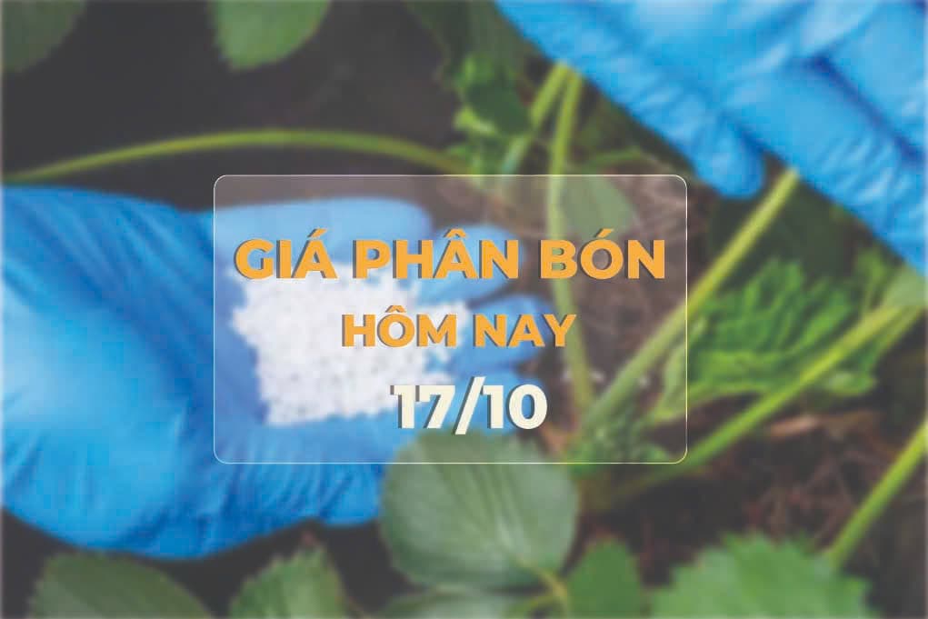 giá phân bón
