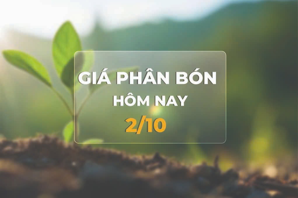 Giá phân bón