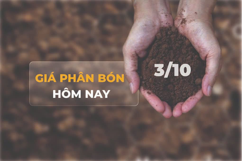 giá phân bón
