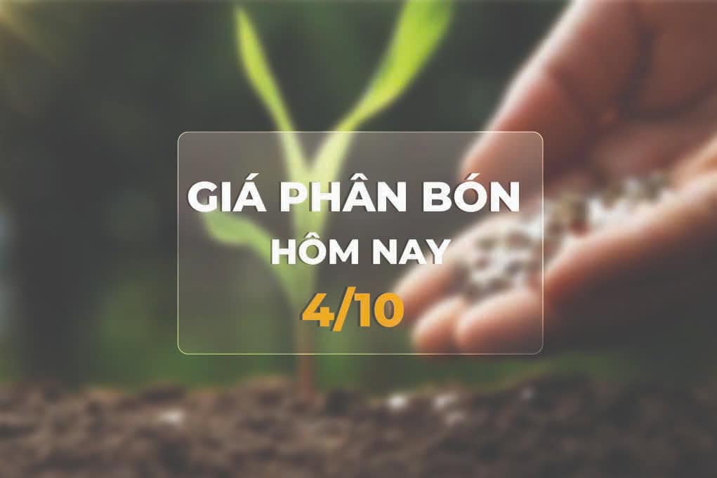 giá phân bón