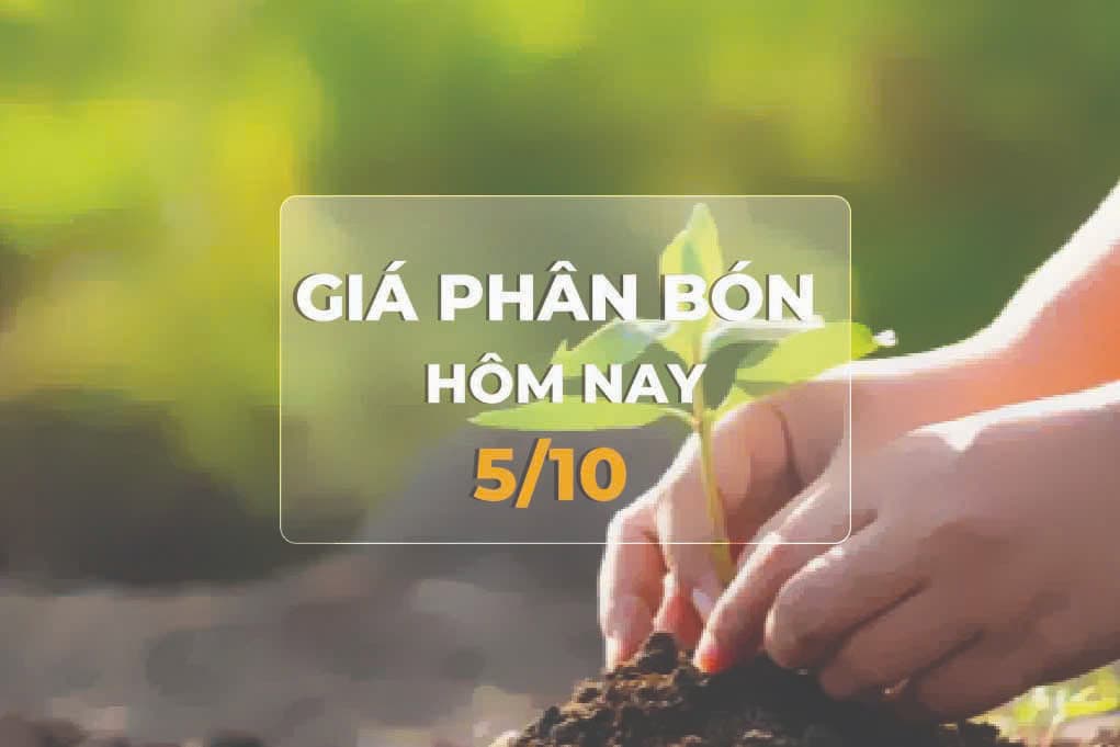 giá phân bón