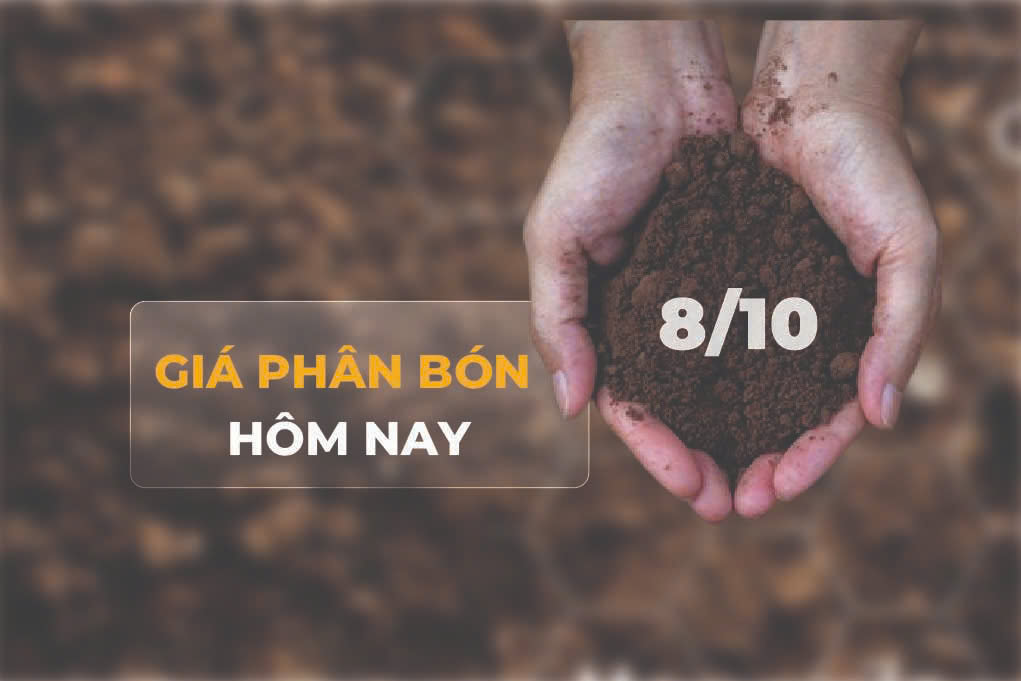 giá phân bón