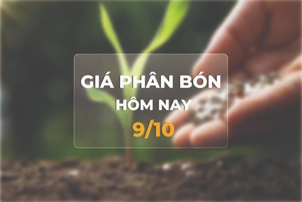 giá phân bón