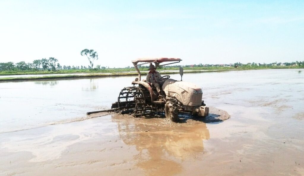 ការចាប់ផ្តើមវារដូវ Dong Xuan ឆ្នាំ 2024 ត្រឹមត្រូវ ដើម្បីចម្ការទទួលបានផលិតផលល្អ និងទទួលផលល្អសម្បូរ "កសិករត្រូវរំលាយមុខវាល