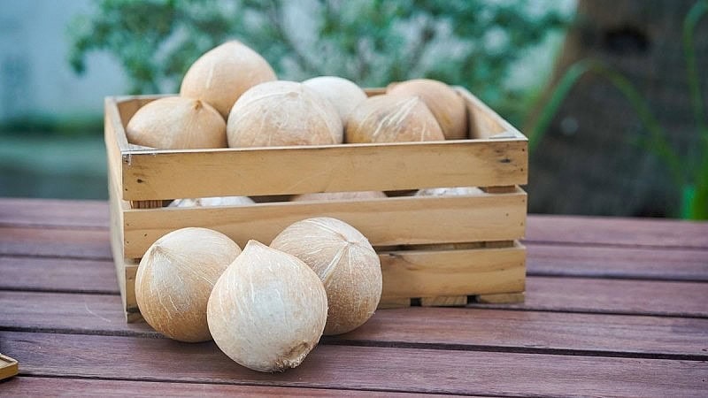 Xuất khẩu dừa sang Trung Quốc tăng mạnh