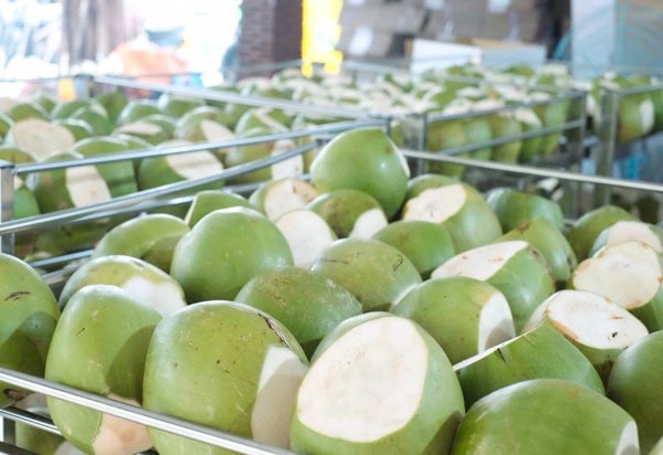 Xuất khẩu dừa sang Trung Quốc Tăng Các sản phẩm chế biến từ dừa được ưa chuộng