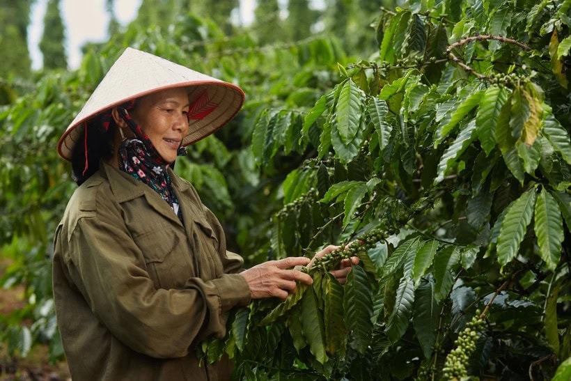 Giá xuất khẩu nông sản tăng mạnh, giúp cải thiện đời sống cho bà con nông dân