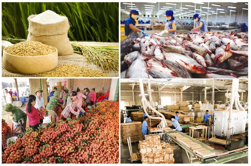 Xuất Siêu Nông, Lâm Thủy Sản Đạt 13,86 Tỷ USD Xuất siêu nông, lâm, thủy sản 9 tháng đầu năm đạt thành tích ấn tượng