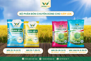 Cập Nhật Giá Phân Bón Ngày 29/12/2025 - Chi Tiết Cho Nhà Nông Tham Khảo Phân Bón Việt Nga chuyên cung cấp các mặt hàng phân bón chất lượng, giá tốt đến bà con nông dân