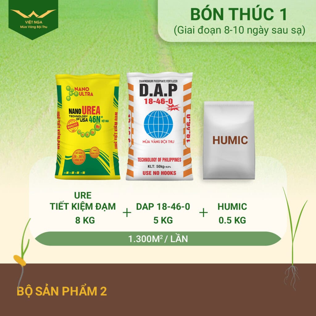 Bón thúc là gì ? Cách bón thúc hiệu quả đúng cách Bón thúc là gì ? Cách bón thúc hiệu quả đúng cách