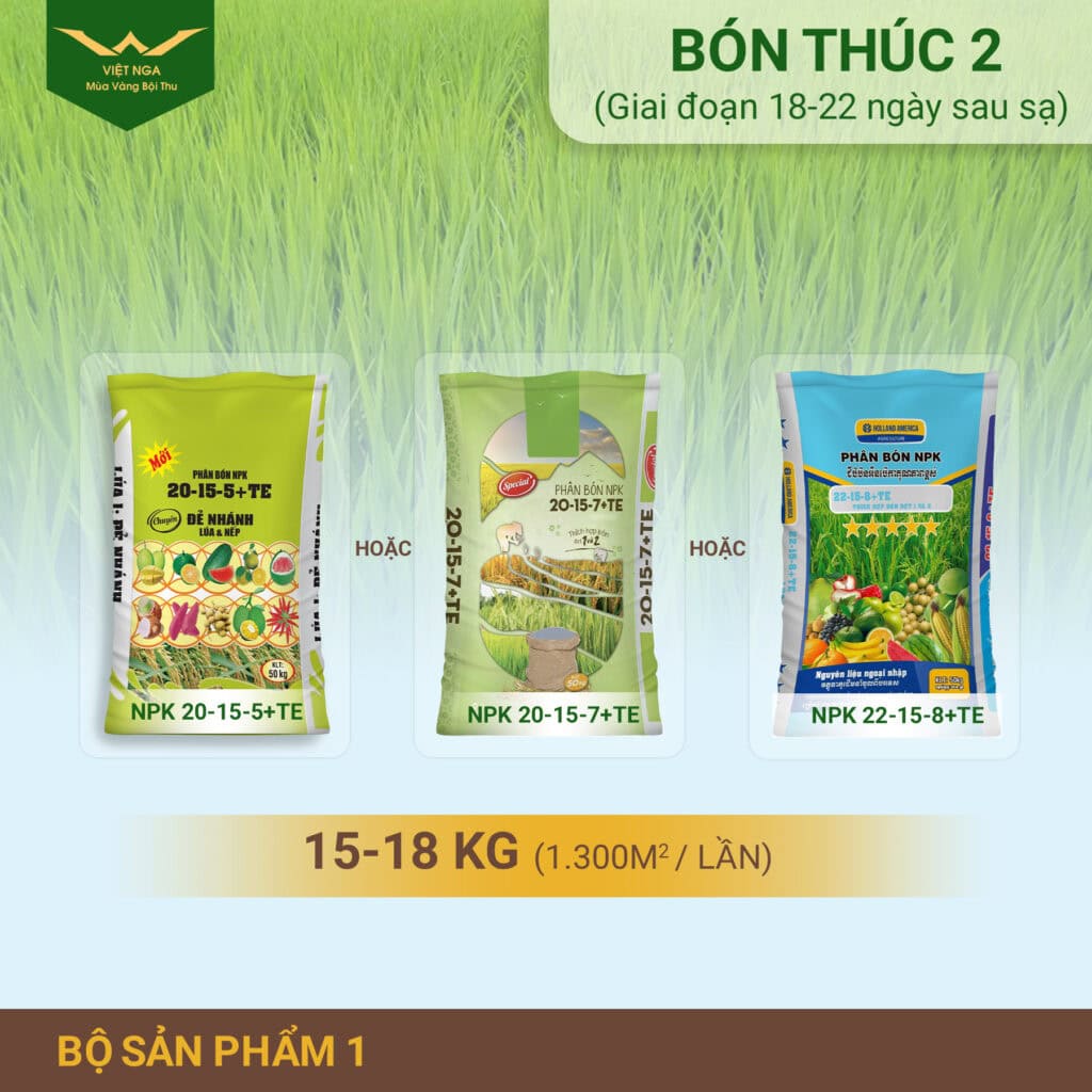 Bón thúc là gì ? Cách bón thúc hiệu quả đúng cách Cách bón thúc sao cho hiệu quả