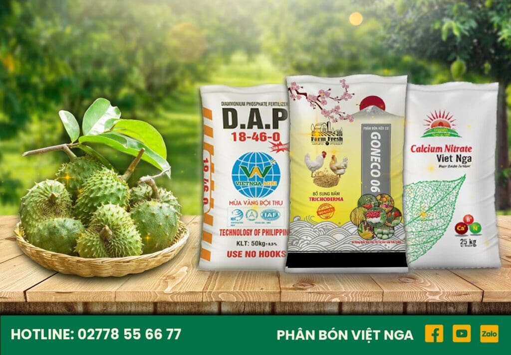Các loại phân bón cho cây trồng chất lượng Các loại phân bón cho cây trồng