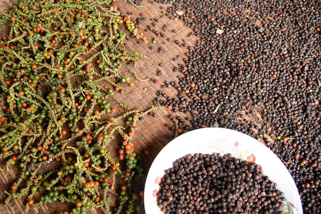 Hạt tiêu xuất khẩu