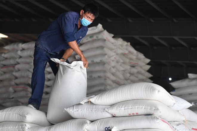 Việt Nam chi gần 1,2 tỷ USD nhập khẩu gạo