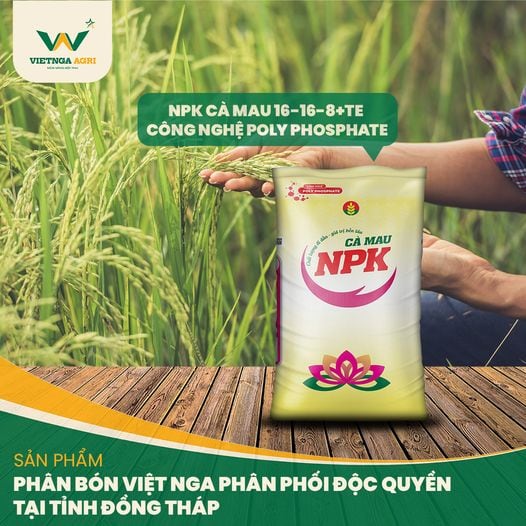Bón phân cho hoa giấy loại nào tốt và hiệu quả Sử dụng phân bón NPK phù hợp cho việc bón phân cho hoa giấy