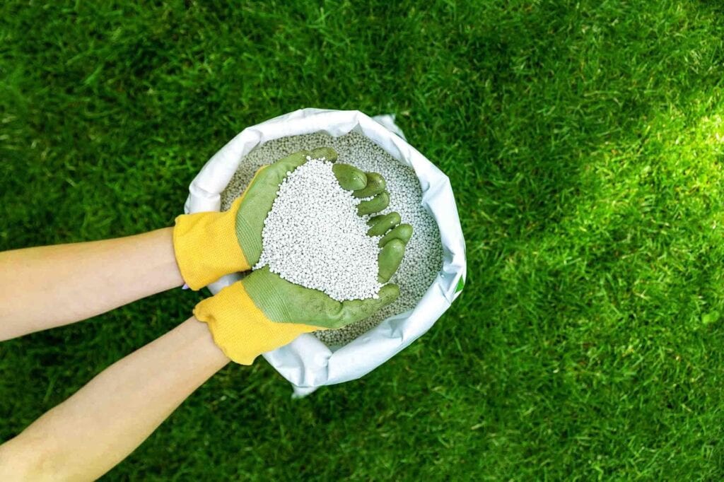 Chính Thức Áp Thuế 5% Đối Với Phân Bón Chính thức áp thuế 5% phân bón
