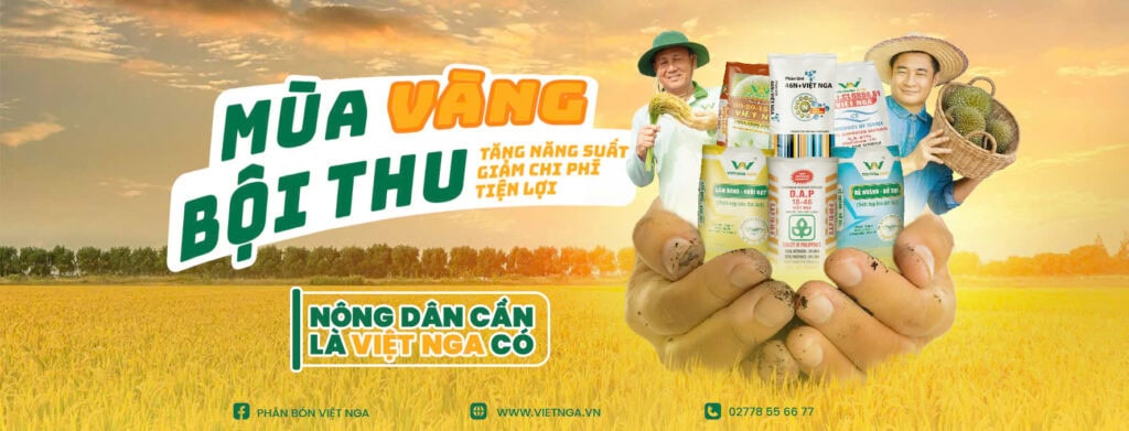 What is Fertilizer? The Uses of Fertilizer for Plants dai ly