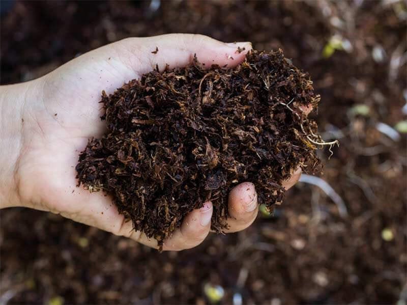 What is Fertilizer? The Uses of Fertilizer for Plants Organic fertilizers are derived from organic materials such as animal waste, household waste, etc.