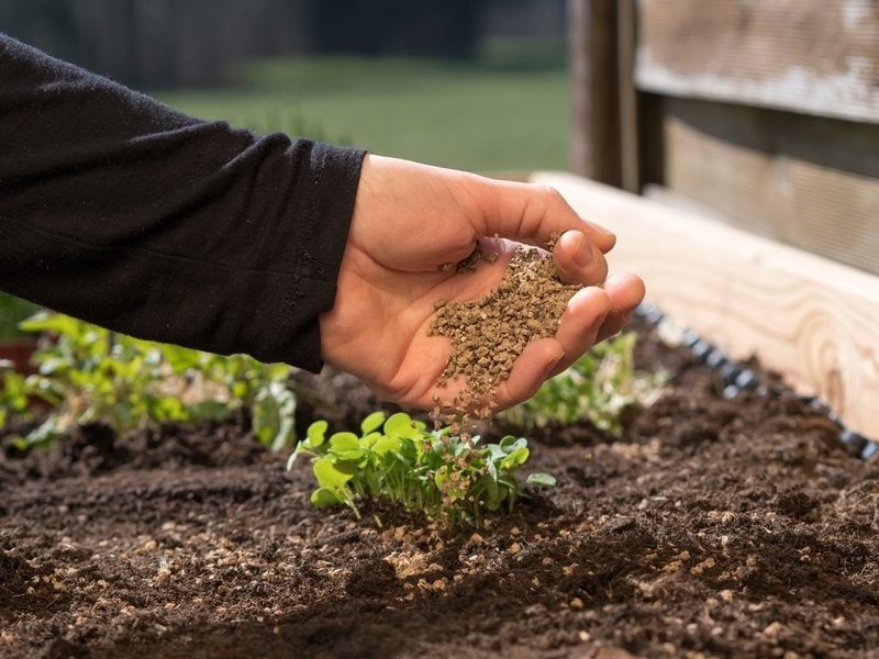 What is Fertilizer? The Uses of Fertilizer for Plants Fertilizers must be applied correctly, in the right amount, in the right way, and at the right time.