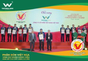 Phân bón tan chậm có tốt hay không? Phân Bón Việt Nga tự hào là doanh nghiệp đạt danh hiệu hàng việt nam chất lượng cao 2025