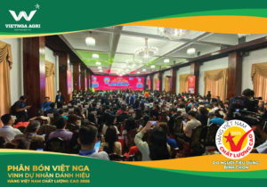 Phân Bón Việt Nga Vinh Dự Nhận Danh Hiệu Hàng Việt Nam Chất Lượng Cao 2025 DC5