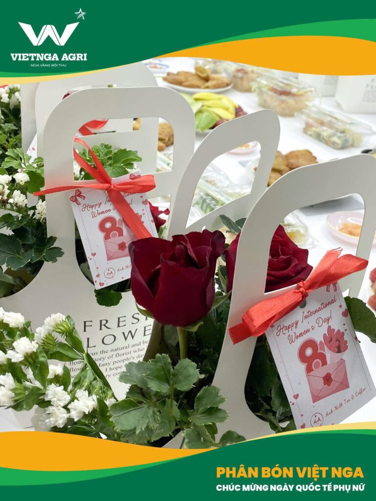 Những món quà xinh xắn dành tặng đến những người phụ nữ xinh đẹp Việt Nga